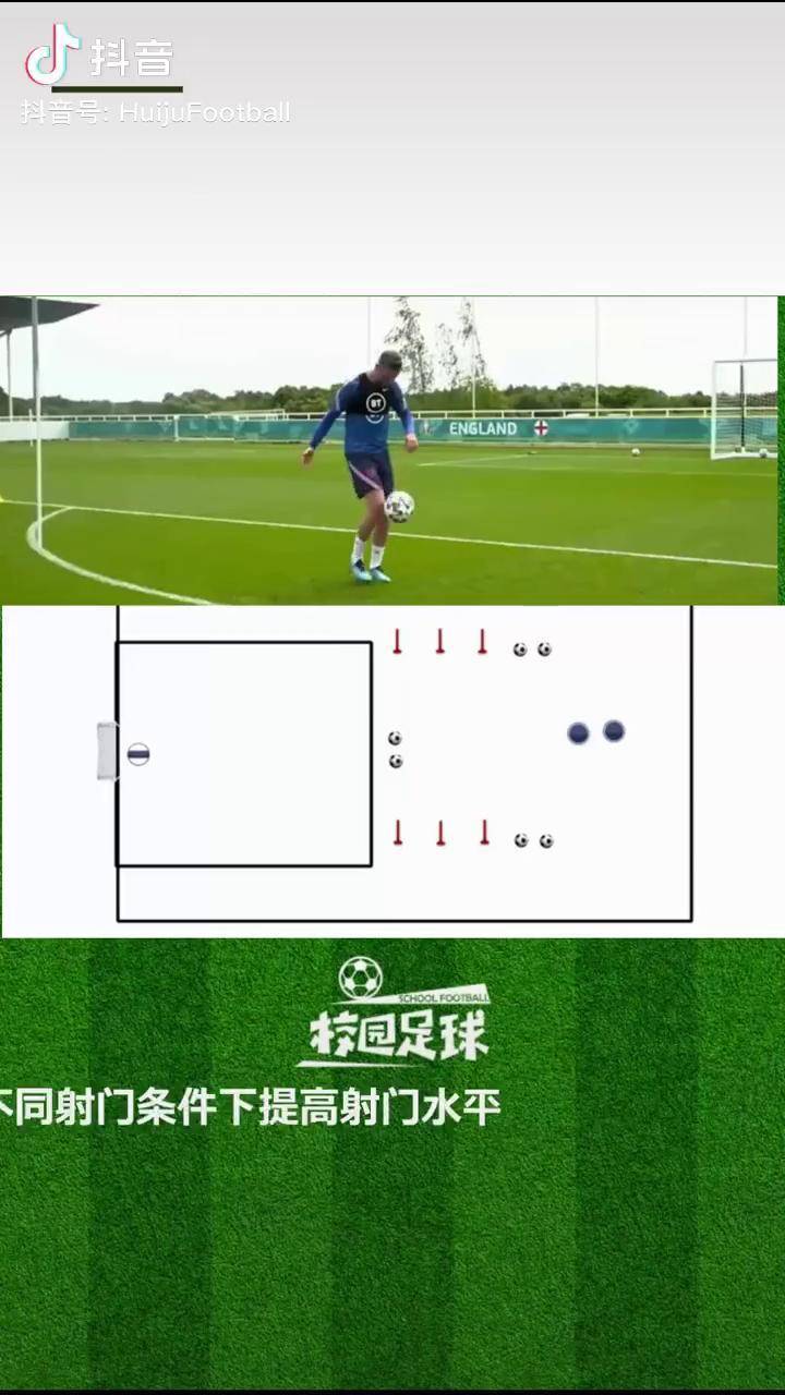 青训体系与国家队表现关系研究