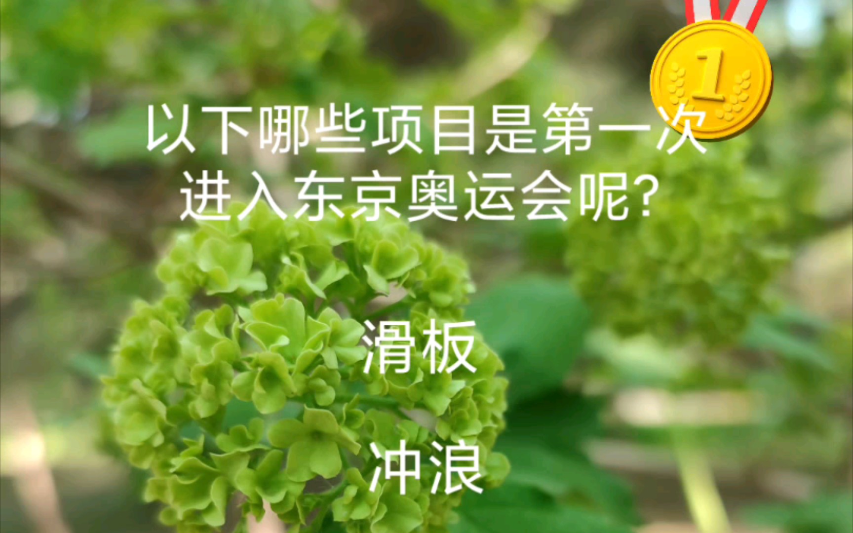 中小学体育课创新：攀岩、滑板进入课程表的简单介绍