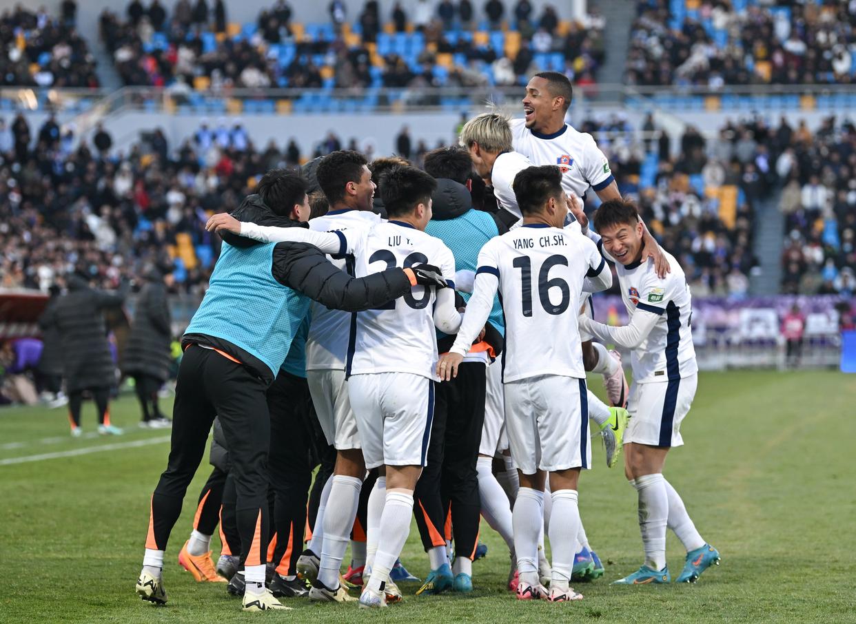 足球场上的动物入侵名场面的简单介绍 足球场上的动物入侵名场面的简单介绍